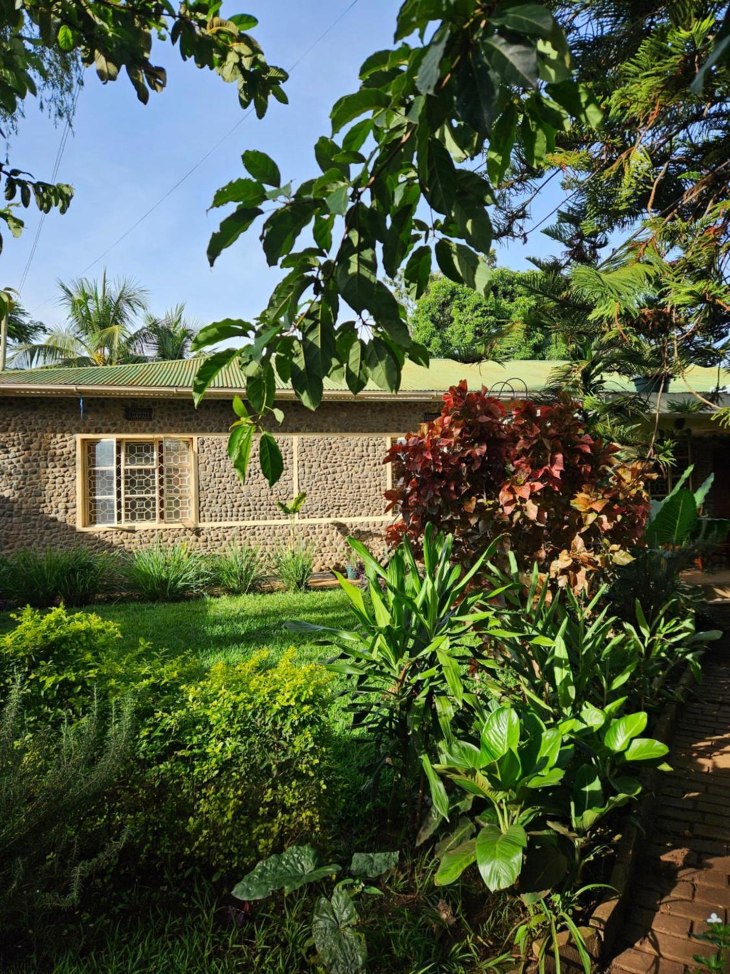 Kiwavi Home 莫希 外观 照片