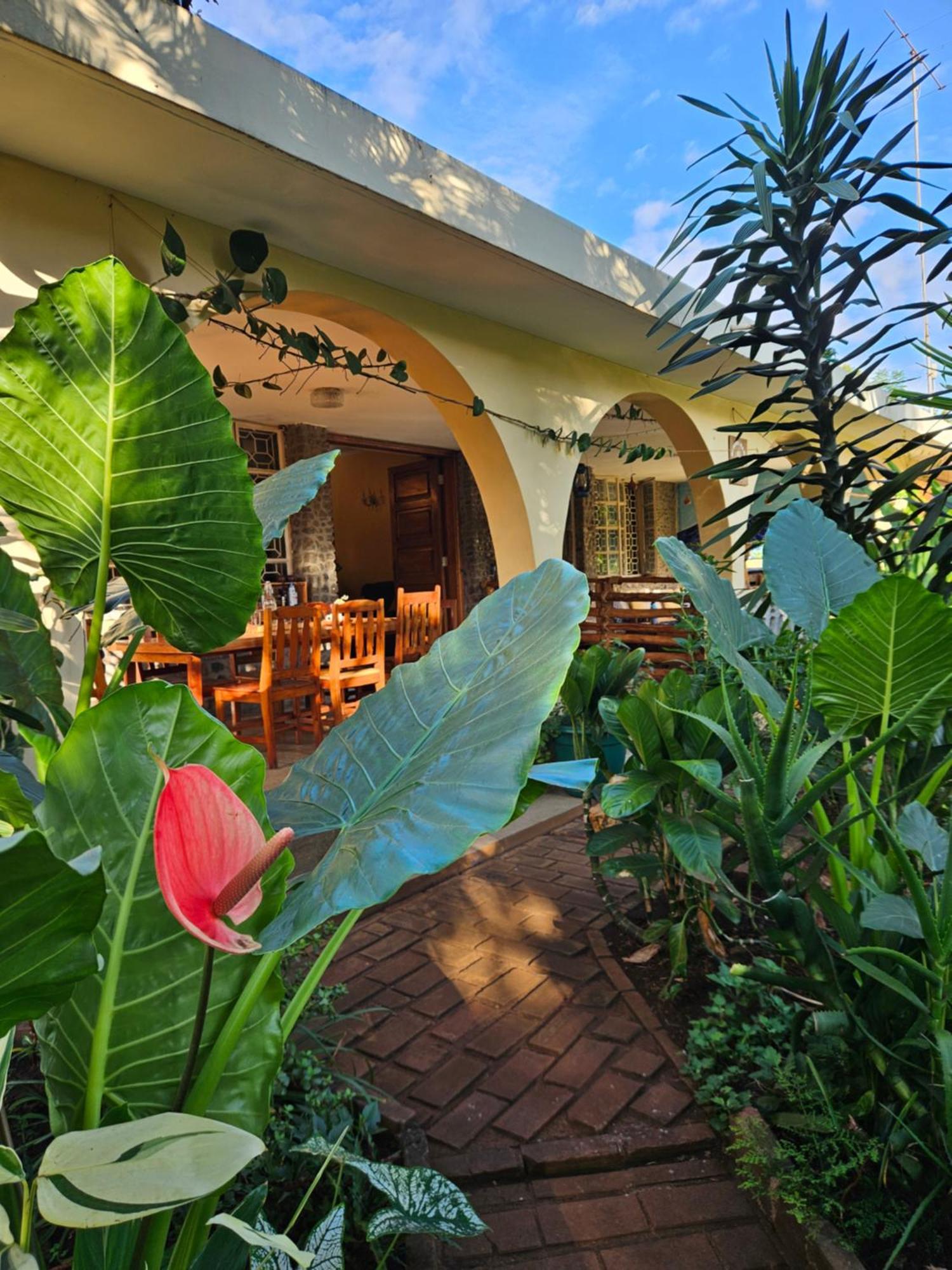 Kiwavi Home 莫希 外观 照片